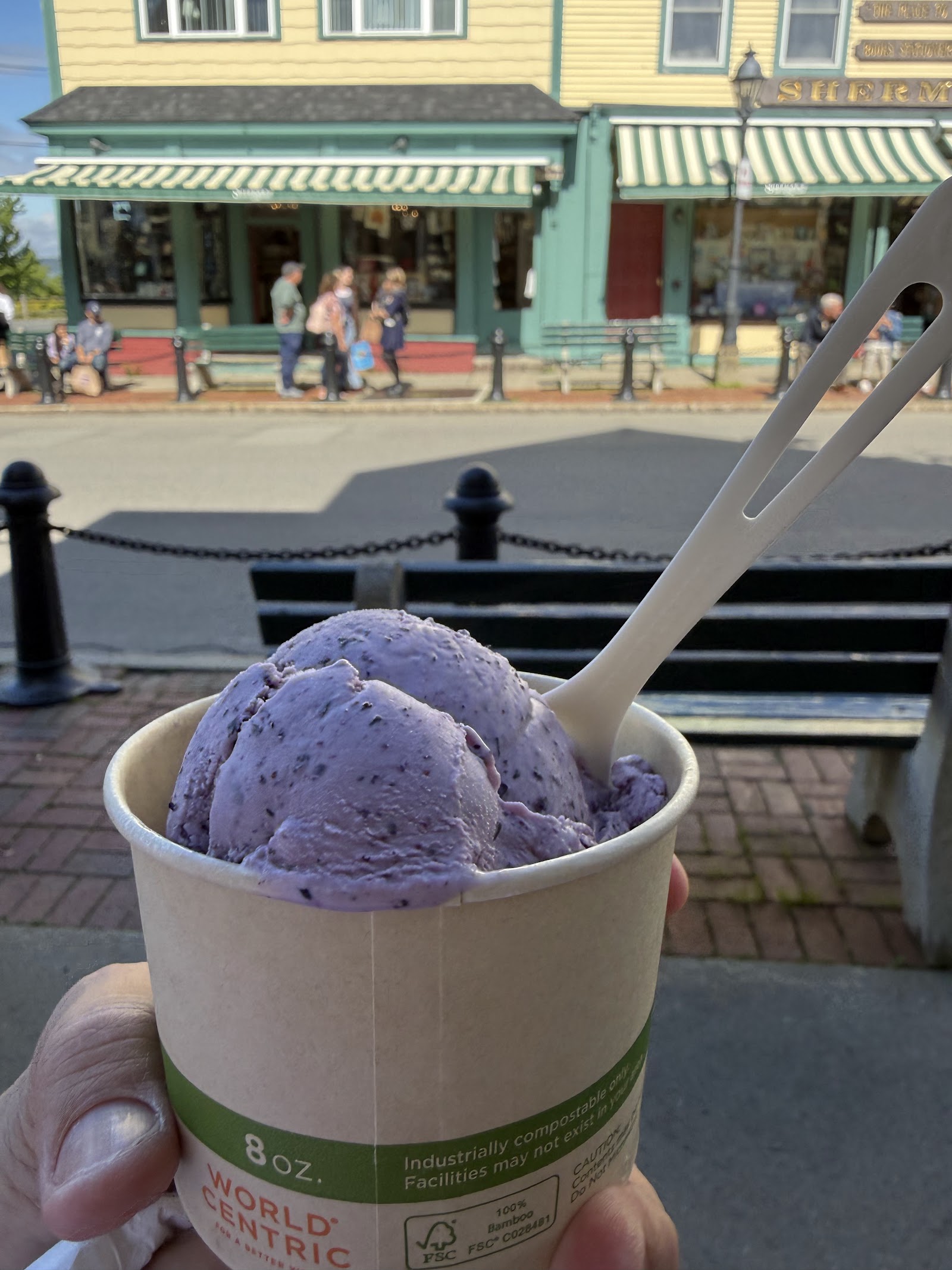 A cup of deep-purple blueberry ice cream held up on Main Street, with Bar Harbor's shopfronts and striped awnings behind it.