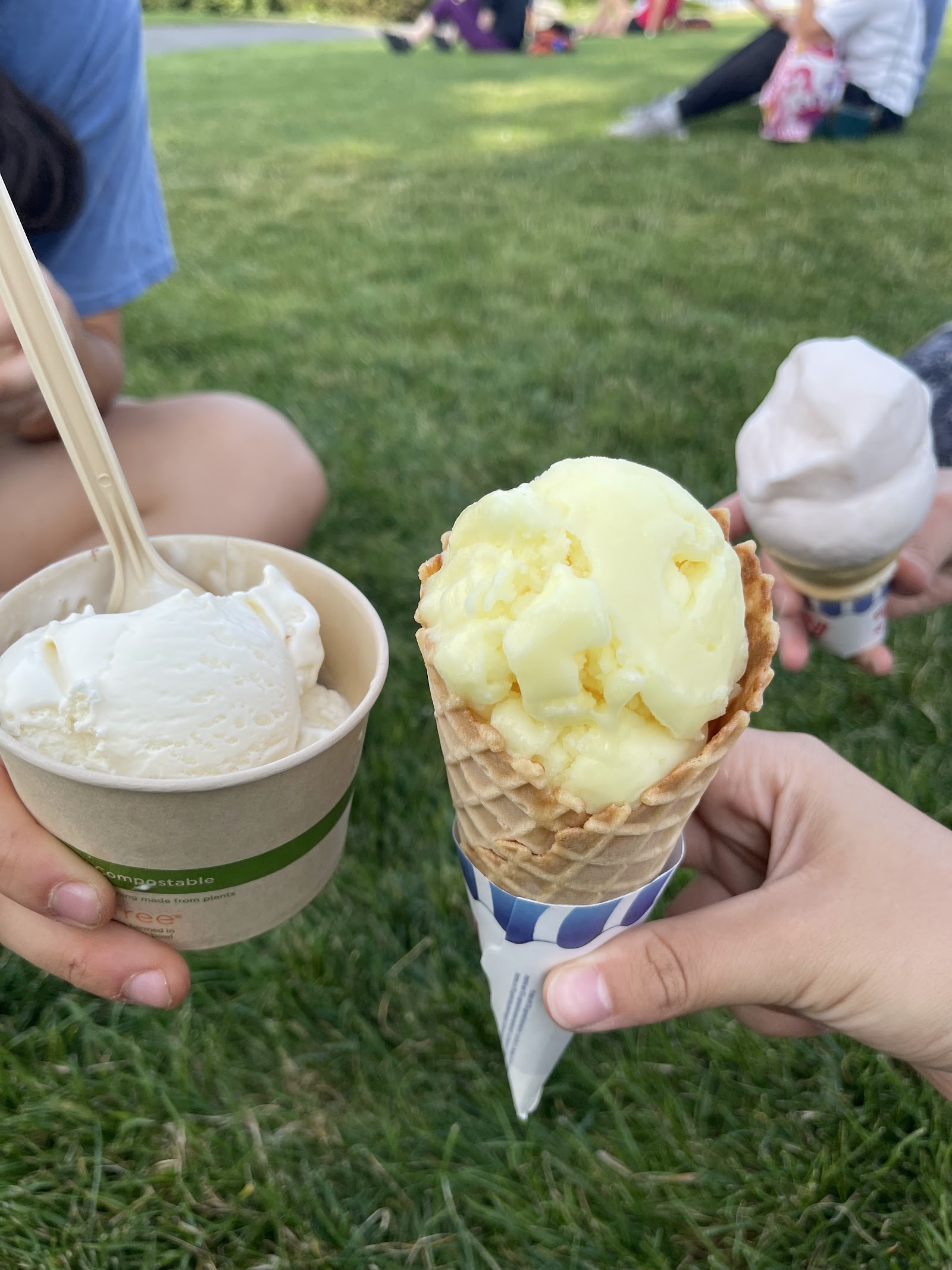 Two hands holding a cup of vanilla and a waffle cone of pale-yellow ice cream on the grass at the park.